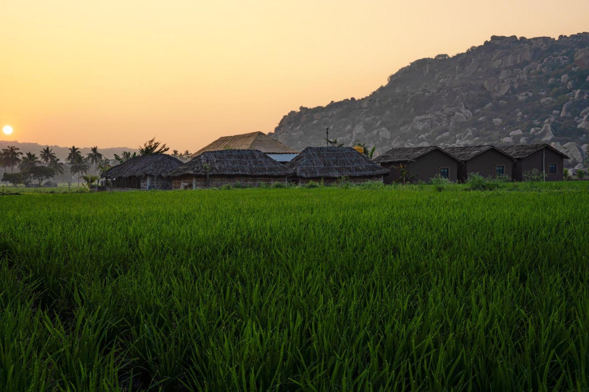 Hippie Land Nature Stay Hampi Exterior photo